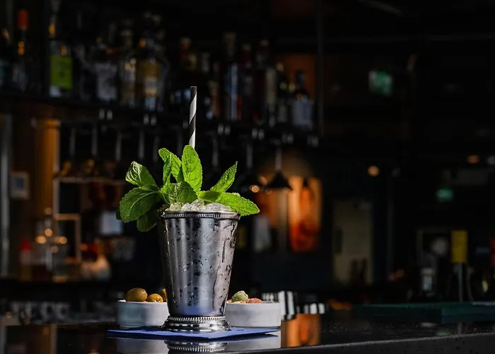 酒店 The Blasky 美因河畔法兰克福